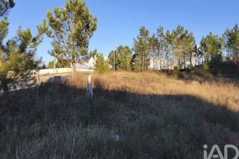 Terra a Ansiao, Leiria, Ansiao - € 42.500 | Ref: 772124 - foto 5