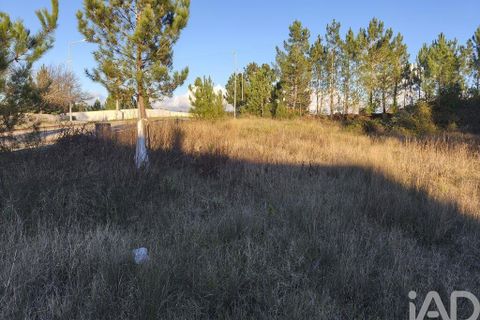 Terra a Ansiao, Leiria, Ansiao - € 42.500 | Ref: 772124 - foto 6