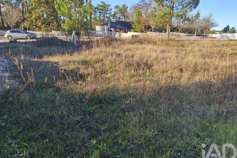 Terra a Ansiao, Leiria, Ansiao - € 42.500 | Ref: 772124 - foto 7