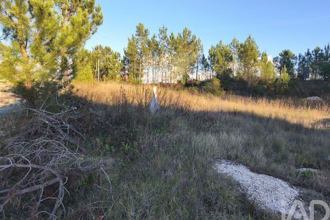 Terra a Ansiao, Leiria, Ansiao - € 42.500 | Ref: 772124 - foto 8
