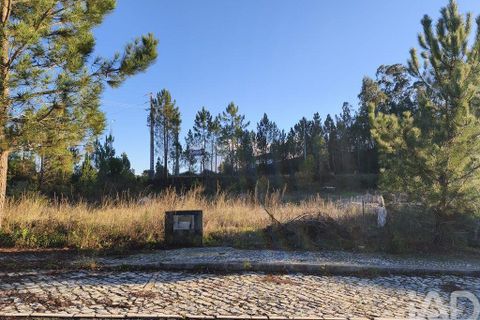 Terra a Ansiao, Leiria, Ansiao - € 42.500 | Ref: 772124 - foto 9