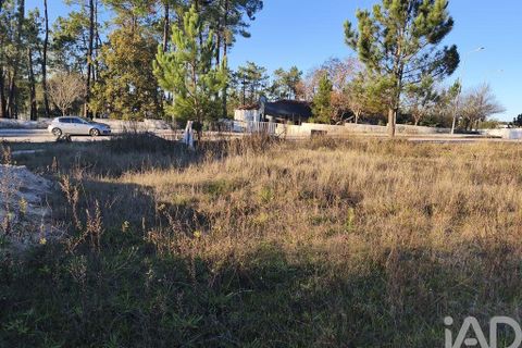 Terra a Ansiao, Leiria, Ansiao - € 42.500 | Ref: 772124 - foto 11