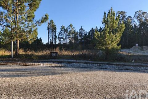 Terra a Ansiao, Leiria, Ansiao - € 42.500 | Ref: 772124 - foto 12