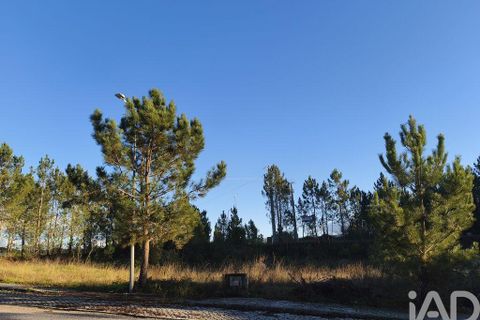 Terra a Ansiao, Leiria, Ansiao - € 42.500 | Ref: 772124 - foto 13