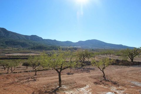 Villa a Pinoso, Alicante, Pinoso - € 300.000 | Ref: PIN NEWMODHEN - foto 24