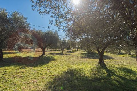 Landejendom i Veroli, Frosinone, Veroli - € 130.000 | Ref: AC99-149-1700 - foto 2