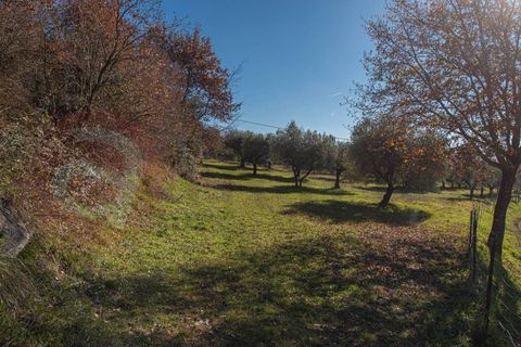 Landejendom i Veroli, Frosinone, Veroli - € 130.000 | Ref: AC99-149-1700 - foto 28