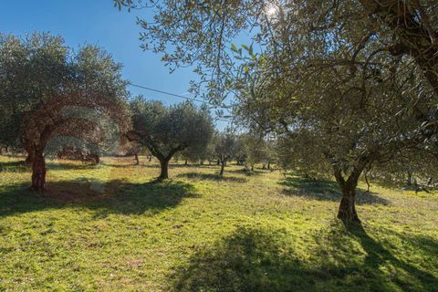 Landejendom i Veroli, Frosinone, Veroli - € 130.000 | Ref: AC99-149-1700 - foto 29