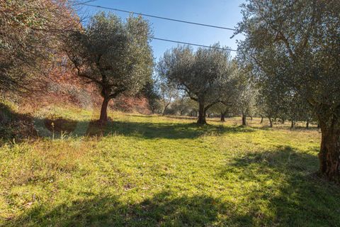 Landejendom i Veroli, Frosinone, Veroli - € 130.000 | Ref: AC99-149-1700 - foto 30
