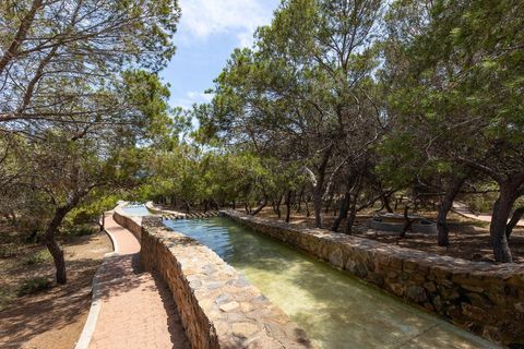 Byhus i La Mata, Alicante, La Mata - € 255.000 | Ref: R-63035 - foto 28