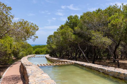 Byhus i La Mata, Alicante, La Mata - € 255.000 | Ref: R-63035 - foto 29