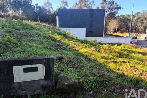 Terra a Esposende, Braga, Esposende - € 57.000 | Ref: 778821 - foto 6