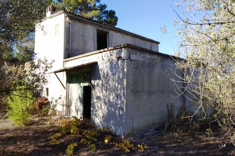 Helårsgrund i Benimarfull, Alicante, Benimarfull - € 56.000 | Ref: 8169 - foto 2