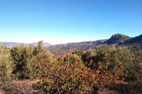 Helårsgrund i Benimarfull, Alicante, Benimarfull - € 56.000 | Ref: 8169 - foto 4