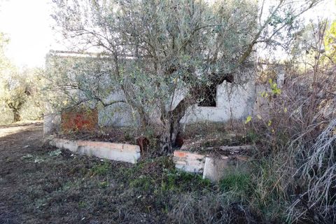 Helårsgrund i Benimarfull, Alicante, Benimarfull - € 56.000 | Ref: 8169 - foto 5