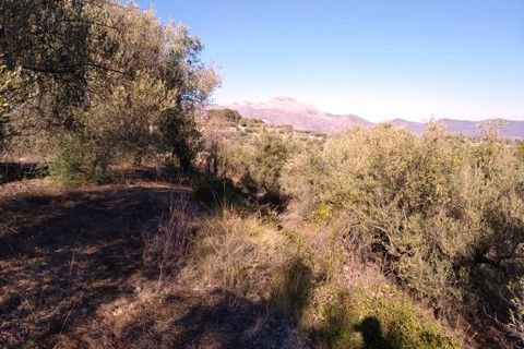 Helårsgrund i Benimarfull, Alicante, Benimarfull - € 56.000 | Ref: 8169 - foto 8