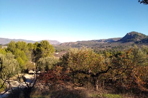 Helårsgrund i Benimarfull, Alicante, Benimarfull - € 56.000 | Ref: 8169 - foto 10