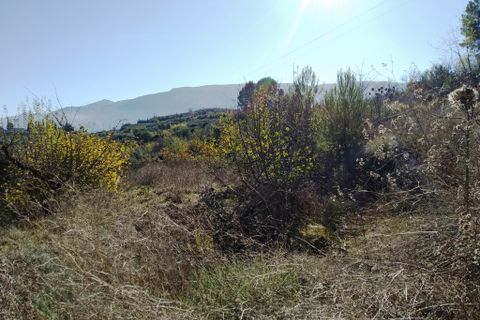 Helårsgrund i Benimarfull, Alicante, Benimarfull - € 56.000 | Ref: 8169 - foto 12
