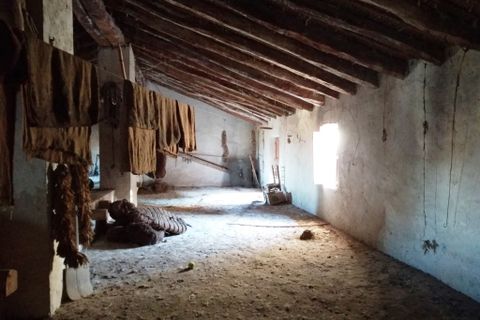 Byhus i Bufali, Valencia, Bufali - € 69.000 | Ref: 5473 - foto 29