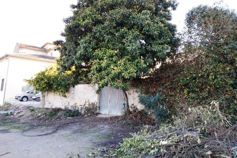 Byhus i Bufali, Valencia, Bufali - € 69.000 | Ref: 5473 - foto 35