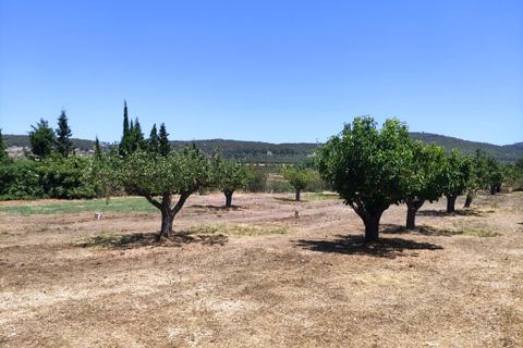 Landejendom i Agres, Alicante, Agres - € 149.000 | Ref: 2991 - foto 30