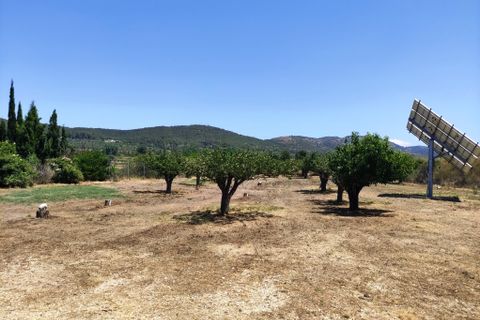 Landejendom i Agres, Alicante, Agres - € 149.000 | Ref: 2991 - foto 32