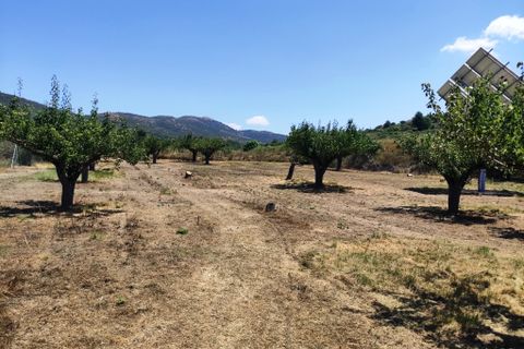 Landejendom i Agres, Alicante, Agres - € 149.000 | Ref: 2991 - foto 37