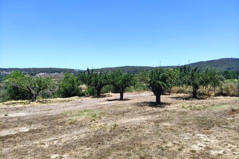 Landejendom i Agres, Alicante, Agres - € 149.000 | Ref: 2991 - foto 44