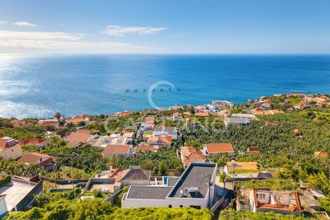 Villa a Arco da Calheta, Madeira, Arco da Calheta - € 1.575.000 | Ref: 3245 - foto 5