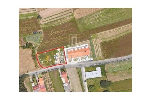 Helårsgrund i Aveiro, Aveiro, Aveiro - € 240.000 | Ref: PRT105 - foto 4