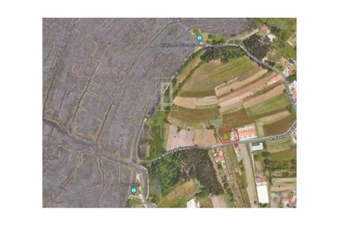 Helårsgrund i Aveiro, Aveiro, Aveiro - € 240.000 | Ref: PRT105 - foto 5