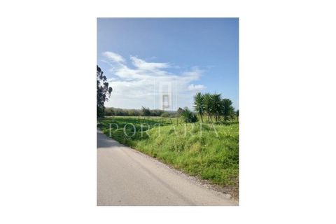 Helårsgrund i Aveiro, Aveiro, Aveiro - € 240.000 | Ref: PRT105 - foto 7