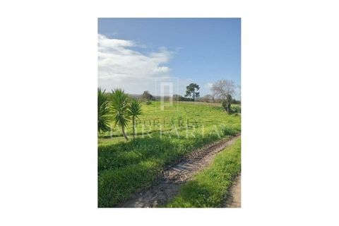 Helårsgrund i Aveiro, Aveiro, Aveiro - € 240.000 | Ref: PRT105 - foto 8