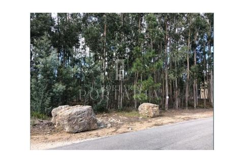 Helårsgrund i Agueda, Aveiro, Agueda - € 115.000 | Ref: PRT48 - foto 2