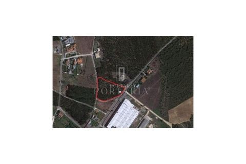 Helårsgrund i Agueda, Aveiro, Agueda - € 115.000 | Ref: PRT48 - foto 4