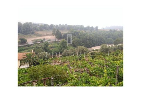 Farm i Vila Verde, Braga, Vila Verde - € 1.300.000 | Ref: PRT186 - foto 4
