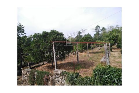 Farm i Vila Verde, Braga, Vila Verde - € 1.300.000 | Ref: PRT186 - foto 13