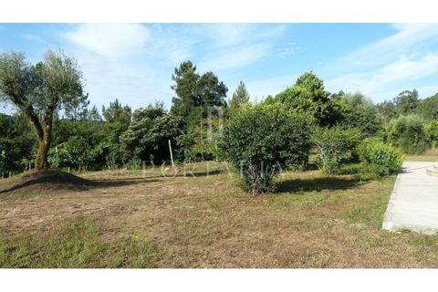 Farm i Vila Verde, Braga, Vila Verde - € 1.300.000 | Ref: PRT186 - foto 19