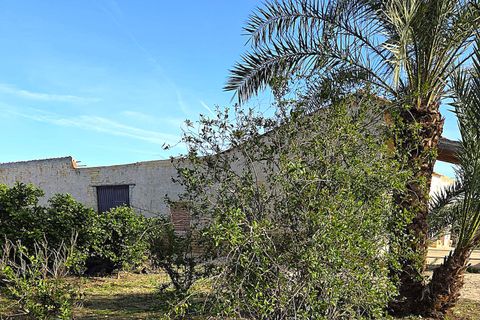 Finca i Albatera, Alicante, Albatera - € 184.990 | Ref: 0040251TI7 - foto 14
