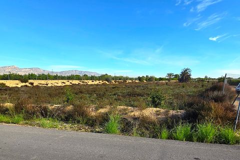 Finca i Albatera, Alicante, Albatera - € 184.990 | Ref: 0040251TI7 - foto 11
