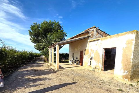 Finca i Albatera, Alicante, Albatera - € 184.990 | Ref: 0040251TI7 - foto 3