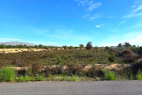 Finca i Albatera, Alicante, Albatera - € 184.990 | Ref: 0040251TI7 - foto 2