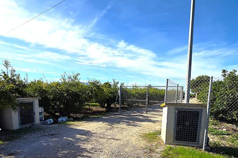 Finca i Albatera, Alicante, Albatera - € 184.990 | Ref: 0040251TI7 - foto 10
