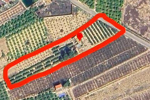 Finca i Albatera, Alicante, Albatera - € 184.990 | Ref: 0040251TI7 - foto 6
