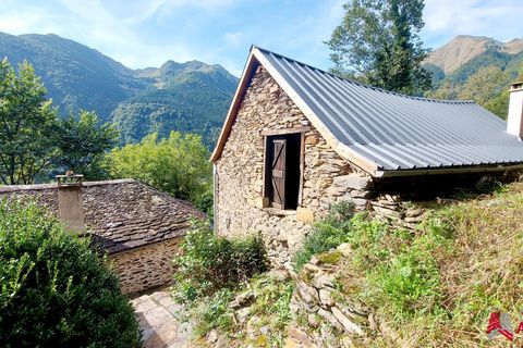 Farm i Seix, Ariege, Seix - € 428.000 | Ref: VM1070-ACTIVPATRIMONIA - foto 21