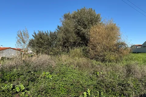 Terra a Ilhavo, Aveiro, Ilhavo - € 19.900 | Ref: C0385-00943 - foto 3