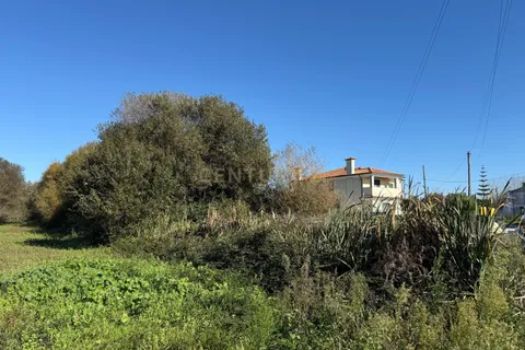 Terra a Ilhavo, Aveiro, Ilhavo - € 19.900 | Ref: C0385-00943 - foto 6