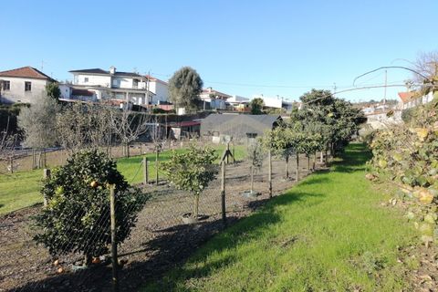 Helårsgrund i Ribeirao, Braga, Ribeirao - € 215.000 | Ref: TER_245 - foto 9