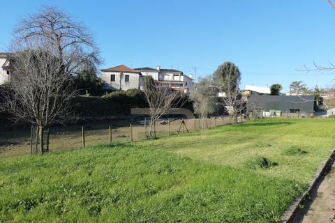 Helårsgrund i Ribeirao, Braga, Ribeirao - € 215.000 | Ref: TER_245 - foto 10