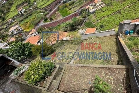 Byhus i Camara de Lobos, Madeira, Camara de Lobos - € 327.000 | Ref: M-30145 - foto 16